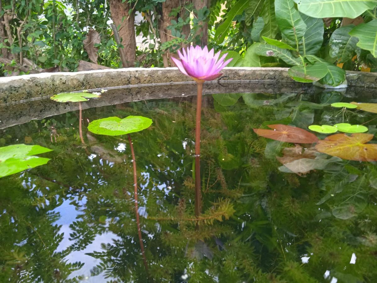 Green Garden Hiriketiya Dickwella Zewnętrze zdjęcie