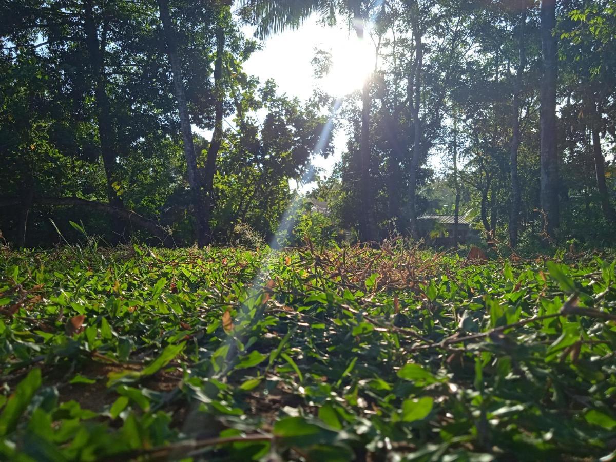 Green Garden Hiriketiya Dickwella Zewnętrze zdjęcie