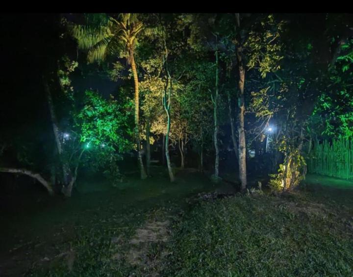 Green Garden Hiriketiya Dickwella Zewnętrze zdjęcie